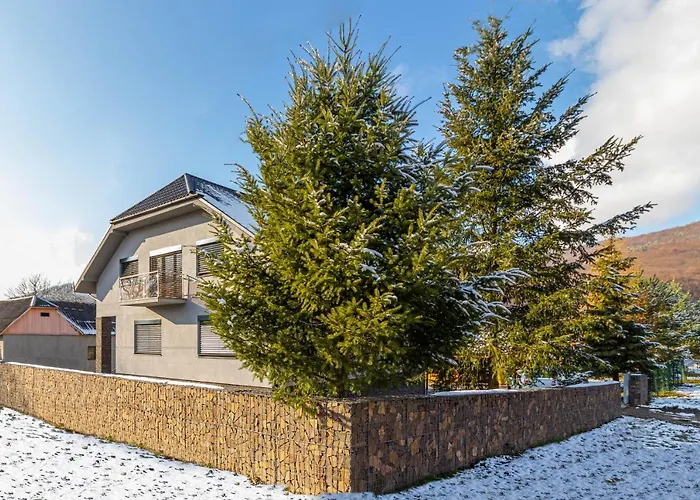 Nikol Guest house Turitsa
